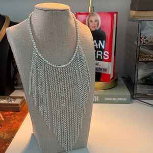 Joan Rivers Classics Collection 
Silver Fringe Chain Necklace